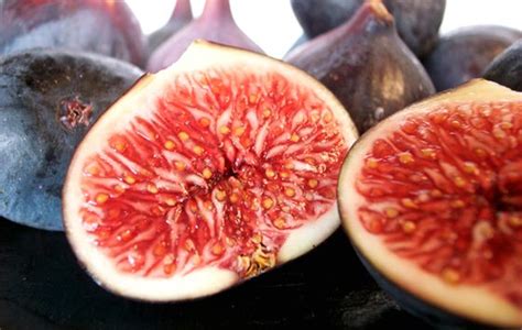 Fresh Figs And Blue Cheese Pie Recipes For Figs Pie