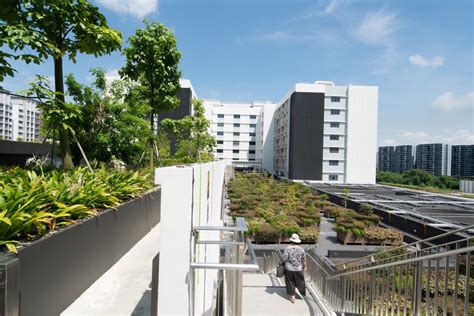 Sengkang General Hospital Landezine International Landscape Award Lila