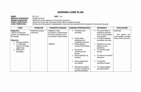 Printable Blank Nursing Care Plan Templates Kulturaupice