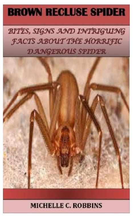 Buy Brown Recluse Spider Bites Signs And Intriguing Facts About The
