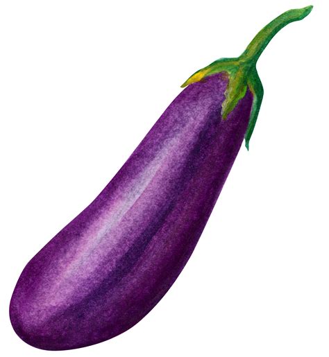 Vegetable Eggplant Food An Eggplant Png Download 23002500 Free