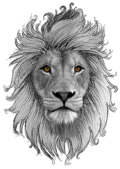 Lion Head Tattoos Cute Animal Tattoos Lion Tattoo Design