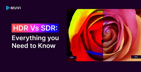 Hdr Vs Sdr Everything You Need To Know Muvi One