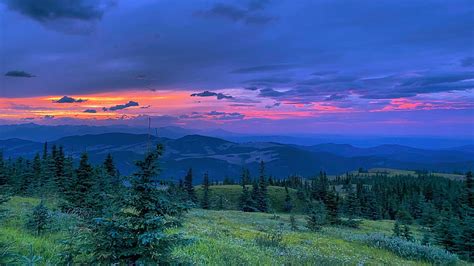 The Sunset From The Peak Of Cox Hill Alberta Canada Trees Colors
