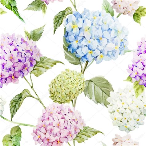 Hydrangea Watercolor Flowers Pattern — Stock Vector