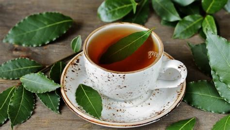 Kickstart Your Morning With Bay Leaf Tea For Its Bundle Of Health