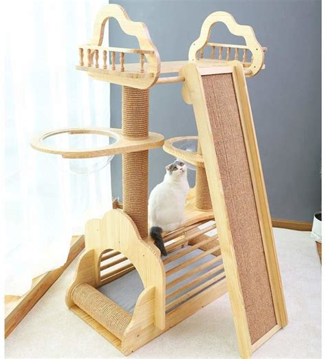 Our Top Picks For Crazy Cool Cat Condos