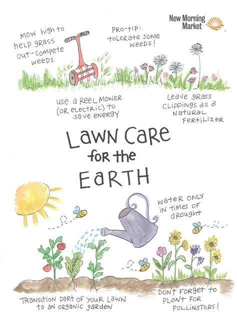 Lawn Care For The Earth No Mow Grass Reel Mower Garden Care Lawn