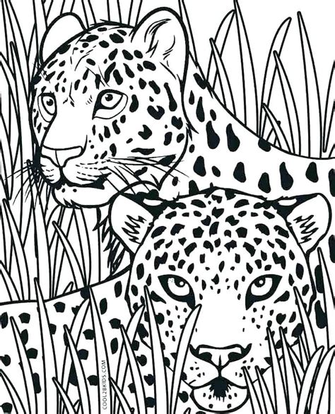 Realistic King Cheetah Realistic Cheetah Coloring Pages Pic Flab
