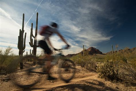 Arizonas Sonoran Desert Photo Gallery Rim Tours