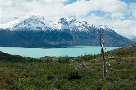 This is a huge lake fed by several glaciers in the north of the el chalten and fitz roy region. オイギンス湖 - O'Higgins/San Martín Lake - JapaneseClass.jp