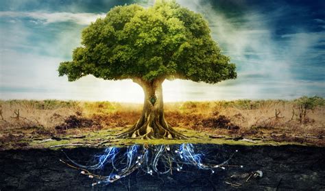 5 Things You Need To Know About The Tree Of Life