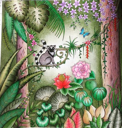 Magical Jungle Coloring Book Awesome Parte 2 Magicaljungle Selvamagica
