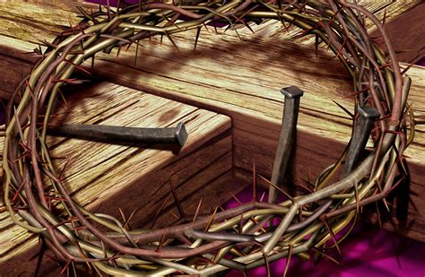 Crown Of Thorns Wallpapers Top Free Crown Of Thorns Backgrounds