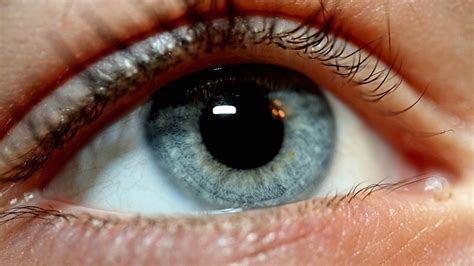 Augenfarben Blau Braun Oder Sogar Zweifarbig Radiomikro Hören