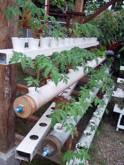 Easy 25 Diy Hydroponic Gardening Ideas That You Could Do Yourself