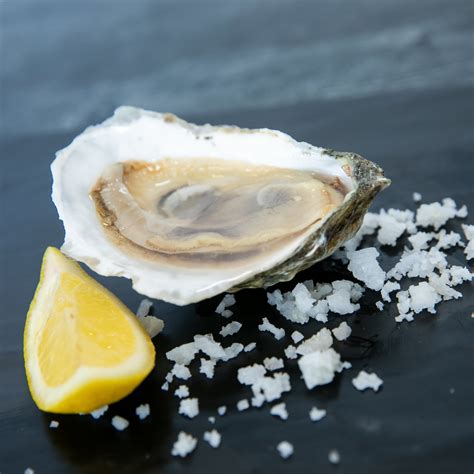 1 Dozen East Coast Oysters - Order Fresh Oysters - Local 130 Seafood