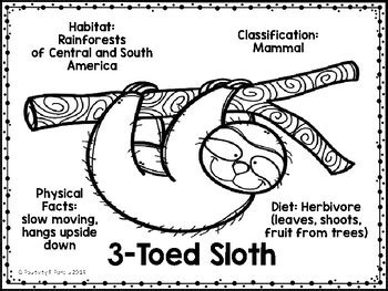 Animal coloring pages for kids, 50 printable animal coloring sheets, digital animal coloring book, activity for kids. Animal Classification Pictorial Input Chart Coloring Pages ...