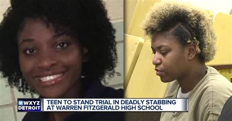 Teen Bound Over For Trial In Deadly Stabbing Of Girl At Warren High School