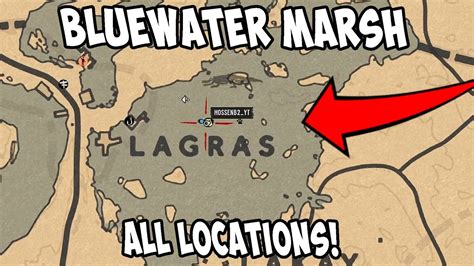 Red Dead Online Bluewater Marsh Treasure Map All Locations Youtube