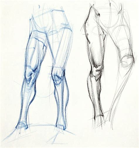 Figuredrawing Info Character Design References Https