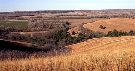 The Flint Hills Of Kansas Have Produced Great Cattle And A Great
