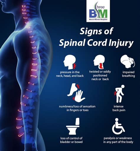 Deficits in all functions mediated by the spinal cord (because all tracts are affected to some degree). A spinal cord injury is a damage to the spinal cord that ...