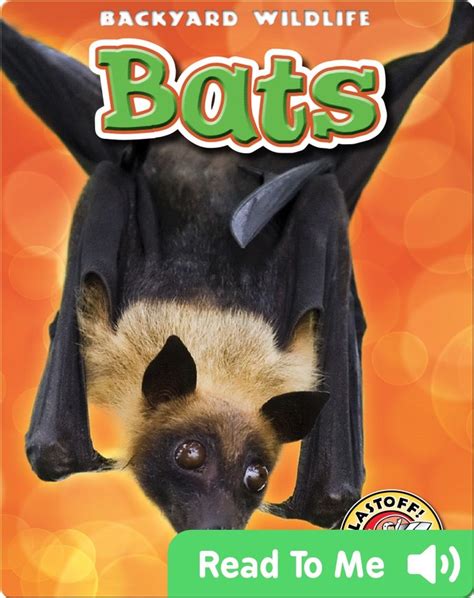 Read Bats Backyard Wildlife On Epic Bat Online Books For Kids Books