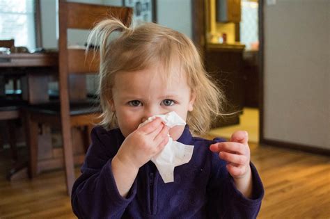 Teaching Toddlers To Blow Their Noses Practical Life For Montessori