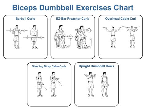 Dumbbell Exercises Chart 10 Free PDF Printables Printablee