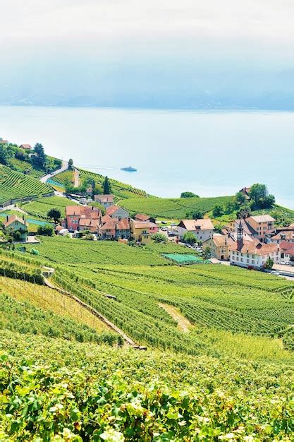 Premium Photo Lavaux Vineyard Terraces Hiking Route Lake Geneva And