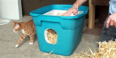 How To Build A Feral Cat Shelter Cole And Marmalade