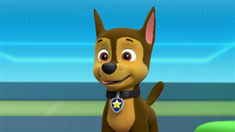 Chase Skye And Chase Paw Patrol Foto 41145969 Fanpop