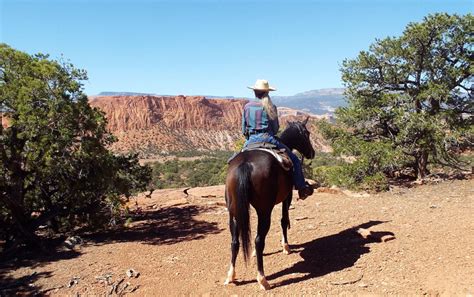 Utah Wilderness And Canyon Ride Usa Horse Riding Holidays