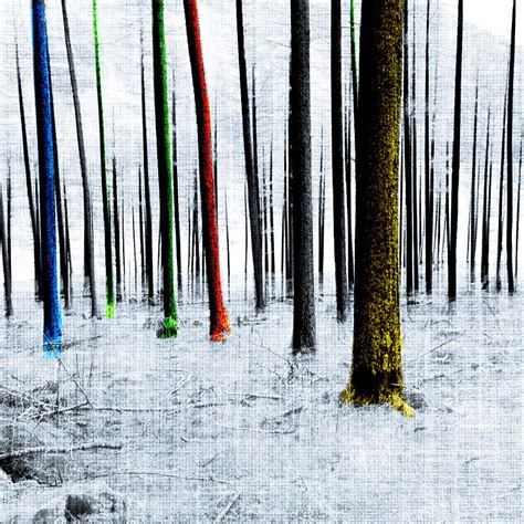 Landscape Winter Forest Pine Trees Digital Art By Mary Clanahan Fine