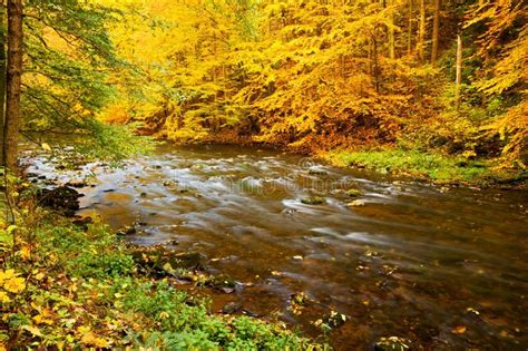 River In Autumn Stock Photo Image Of Leaf Forrest Autumn 80735380