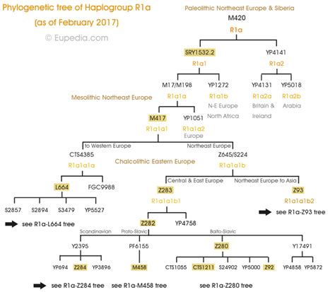 It has subsequently declined in number, and was minimized upon the arrival in. Phylogenetic trees of Y-chromosomal haplogroups - Eupedia