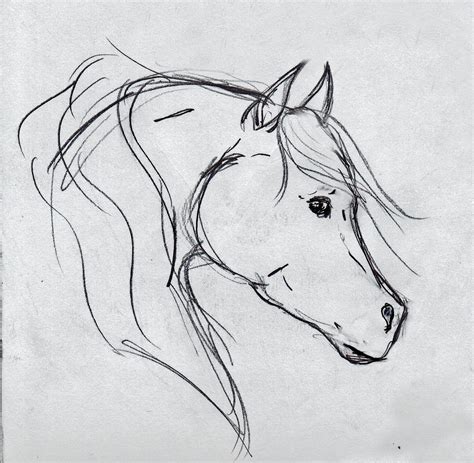 Horse Head Sketch Abstract Other By Onlyyoucan Foundmyself