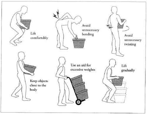 Ergonomics When Lifting And Carrying Heavy Objects Tips To Prevent