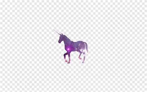 Free transparent png images for everyone. التوضيح يونيكورن ، تي شيرت يونيكورن كيشاين هدية ، يونيكورن ...