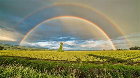Beautiful Rainbow Wallpaper 49 Images