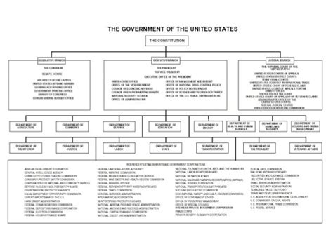 United States Federal Government Structure For International Students