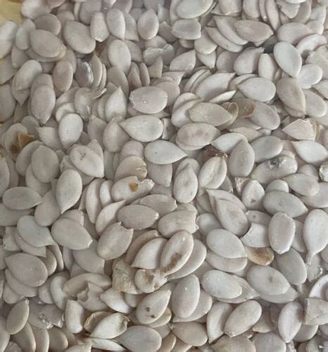 whole egusi original and quality melon seed for authentic egusi soup 80g ebay