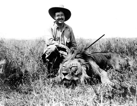 Lions Trophy Hunting And The Us Government The 27 Facts You Need To