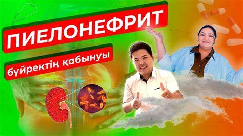 Бүйректің қабынуы. Пиелонефрит және гломерулонефрит. Себептері және емі Картинка - Бүйректің қабынуы. Пиелонефрит және гломерулонефрит. Себептері және емі