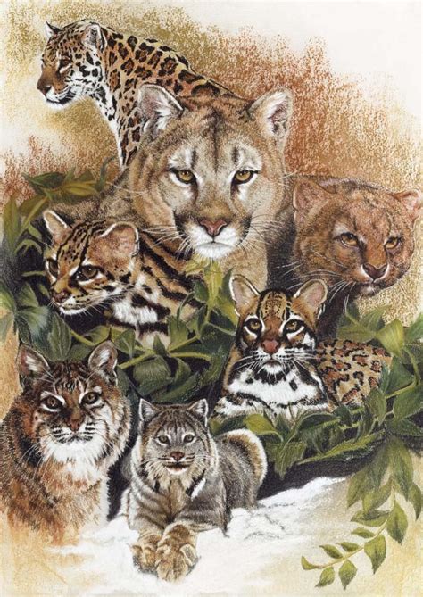 Read more about big cat biological classification. Wild Cat Posters ~ Wild Cat Family