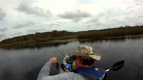 Kayak Fishing The Salt Springs Run In Florida 2015 Youtube