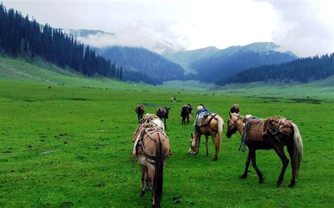 Jhelum Valley Azad Kashmir Best Tourist Attractions In Pak Flickr