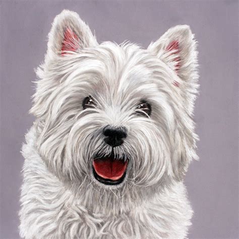 The pet paintings are always the thing of attraction in the home and. Westie time | Sarahs Pet Portraits