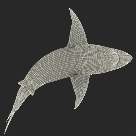 Pigeye Shark Pose 2 3d C4d
